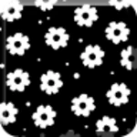 cute wallpaper daisy flower android application logo